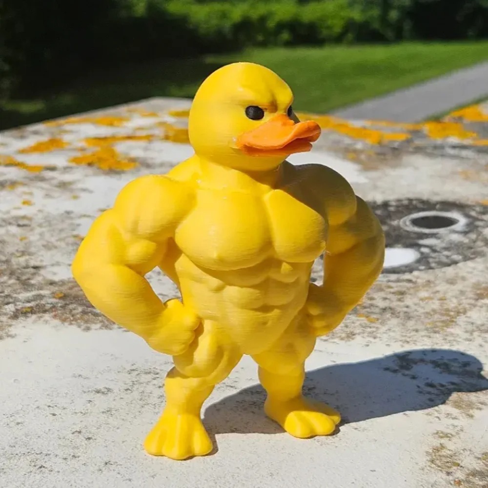 Статуя мышечной утки -3D Насто – обзор и цена Art Craft Duck